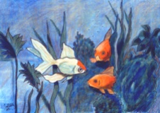 "Goldfish" in colored pencil
